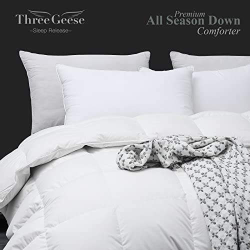  Three Geese All Season Down Comforter,Bedding Comforter Duvet Insert Medium Warmth With 48oz Fill Weight,100% Skin-Friendly Cotton,King 106x90 Inches,750 Fill Power Fluffy With Corner Tabs.