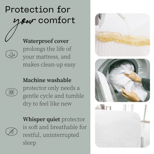  Premium Queen Mattress Protector Ultra Soft Breathable Bed Cover - Waterproof Mattress Cover - Noiseless & Absorbent Topper - Oeko-TEX Certified - White (60 X 80)
