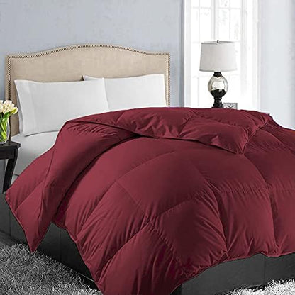  All Season Queen Size Soft Quilted Down Alternative Comforter Reversible Duvet Insert With Corner Tabs,Winter Summer Warm Fluffy,White,88x88 Inches