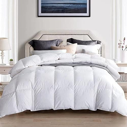  Goose Down Comforter Queen Size,Medium Weight Duvet Insert For All Season,38OZ,650 Fill Power,100% Cotton With Corner Tabs,Grey…
