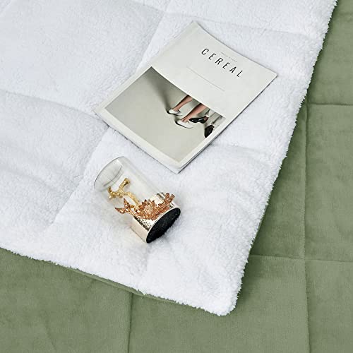  ART DEMO Home Sherpa Fleece All Season Ultra Soft Hypoallergenic Comforter Bed Set With Pillow Shams For Dorm, 2 Piece, Twin Size, Sage Green (SHPA-TWN-SG)