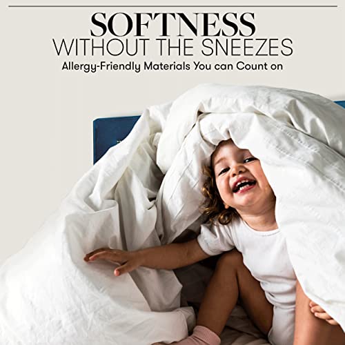  Hotel Collection King/Cal King Size Comforter - 1600 Series Down Alternative Home Bedding & Duvet Insert -Black