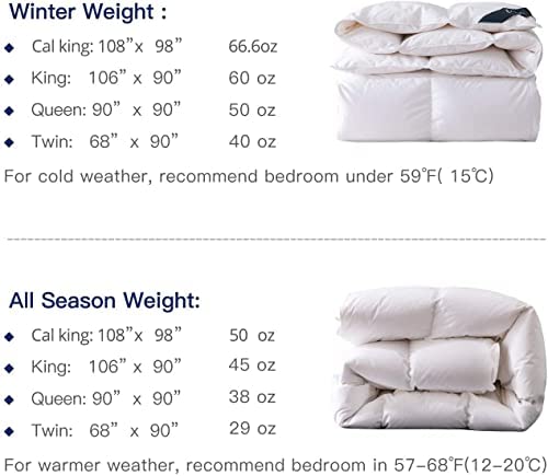  Globon Goose Down Comforter King Size All Season Duvet Insert Ultra-Soft 100% Cotton, 45OZ,650 Fill Power, Medium Warmth With Corner Tabs, White.…