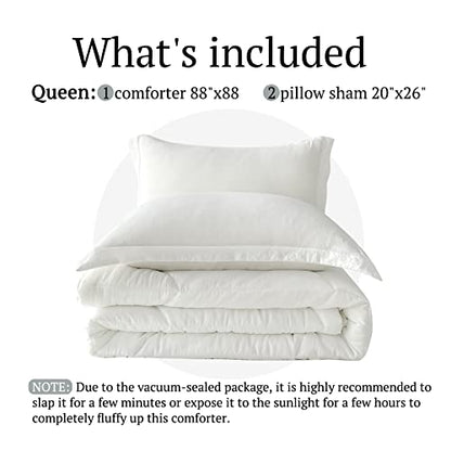  MILDLY Queen Comforter Set - White Bedding Comforter Sets 100% Washed Microfiber Super Soft 3 PCS, All Season Fluffy Lightweight Down Alternative Quilted Comforter 88x88 Inches, 2 Pillow Shams