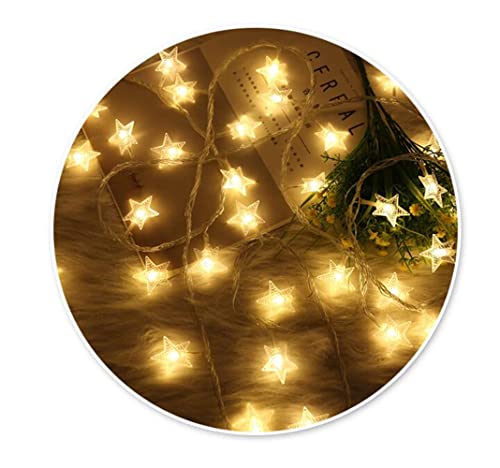  Mengersi Bed Canopy For Girls With Lights,Canopy Bed Curtains Bed Drapes-Double Layer Mesh Sheer Bed Netting Use To Cover, Round Lace Princess Mosquito Net Tent,Princess Bedroom Decor