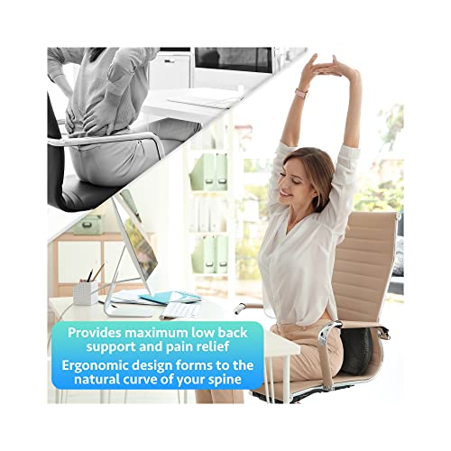  Life Design Lumbar Support Memory Foam Pillow – Lumbar Support Pillow For Office Chair – Lower Back Pain Relief – Great For Car Seat, Back Support, Computer Desk, Gaming Chair, Recliner Chair (Black)