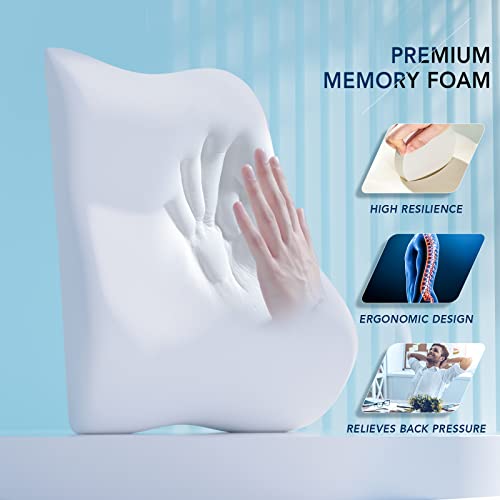  Lumbar Support Pillow For Office Chair, Memory Foam Back Cushion With Updated 3D Mesh Cover, Car Seat Back Pillows For Back Pain Relief, Ideal Back Pillow For Computer/Desk Chair, Car Seat, Etc.