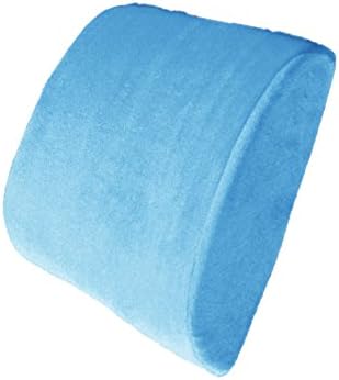  Bookishbunny Premium Memory Foam Lumbar Support Cushion Pillow (Pink)