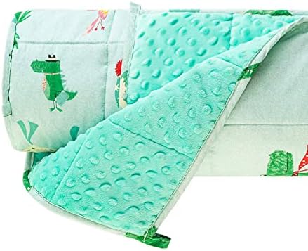  Sivio Weighted Blanket Kids, 5 Pounds, Minky Fleece And Cotton Throw Blanket With Beads, Reversible Heavy Blanket For Children 30-50 Lbs, 36x48 Inch, Blue Airplane