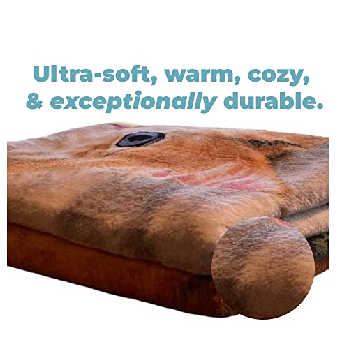  Dawhud Direct Kitten Fleece Blanket For Bed, 50" X 60" Cute Fleece Throw Blanket For Girls, Women, Men And Kids - Super Soft Plush Cat Blanket Throw Plush Blanket For Cat Lovers