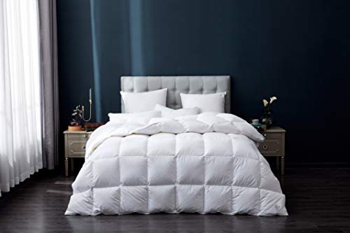  Winter Goose Feathers And Down Comforter Duvet Insert, 100% Cotton Cover, 58 Oz Fill Weight, Winter (California King)