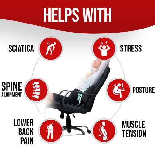  FORTEM Lumbar Support Office Chair, Lumbar Support Pillow For Car, Office Chair Back Support, Lumbar Pillow For Desk Chair, Memory Foam Back Cushion, Washable Cover (Mesh, Black)