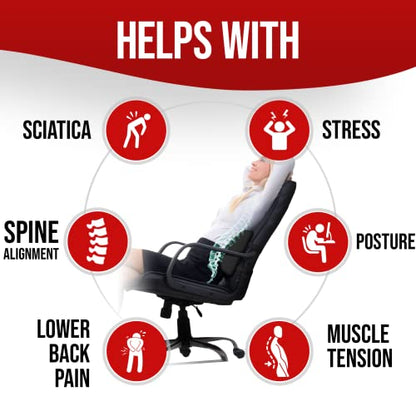 FORTEM Lumbar Support Office Chair, Lumbar Support Pillow For Car, Office Chair Back Support, Lumbar Pillow For Desk Chair, Memory Foam Back Cushion, Washable Cover (Mesh, Black)