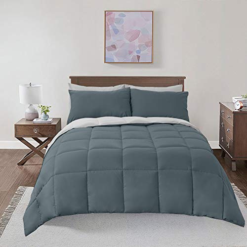  Soft And Plush Down Alternative Comforter - Reversible With 2 Colors Duvet Insert Comforter - Hypoallergenic Hotel Plush Down-Alternative - Oversized Queen, Navy And Gray-Silver