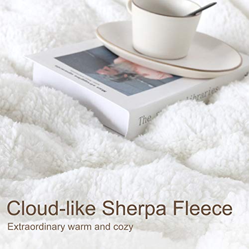  ARIGHTEX Ultra-Soft Micromink Sherpa Comforter Bed Set - 3D Lightweight, Fuzzy Duvet Blankets - Colorful, Polyester Filler Bedspreads With 2 Pillow Shams (Nautical Octopus, Queen)