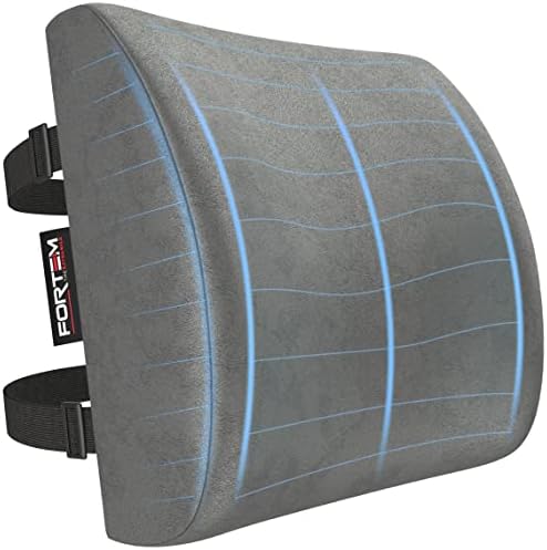  FORTEM Lumbar Support Office Chair, Lumbar Support Pillow For Car, Office Chair Back Support, Lumbar Pillow For Desk Chair, Memory Foam Back Cushion, Washable Cover (Mesh, Black)