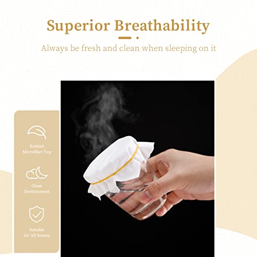  And Sound Queen Mattress Protector, Premium 100% Waterproof Mattress Cover, Noiseless Breathable Soft, Fitted Deep Pocket 8-21 Inch Bed Cover, Vinyl Free