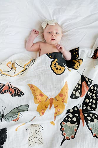  CLEMENTINE KIDS Muslin Infant Swaddles (Butterfly Collector)