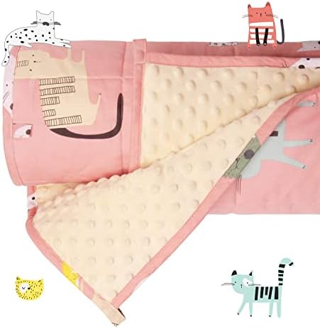  Sivio Weighted Blanket Kids, 5 Pounds, Minky Fleece And Cotton Throw Blanket With Beads, Reversible Heavy Blanket For Children 30-50 Lbs, 36x48 Inch, Blue Airplane