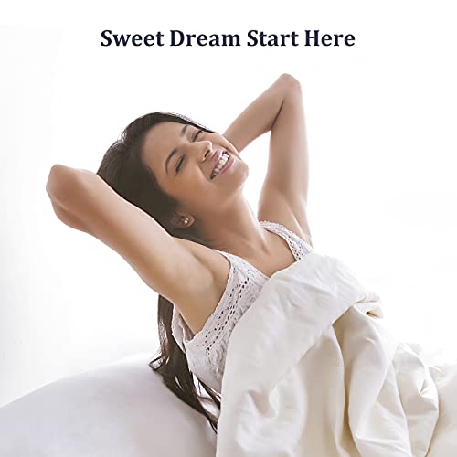  Goose Down And Feather Comforter Queen Size Soft Grey Bedding Comforter Warm Duvet Insert With 8 Corner Tabs Medium Warmth-90x90Inches