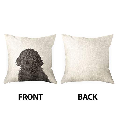  WIRESTER Sofa Pillow Case, Decorative Throw Pillow Cushion Cover For Home Office 18 X 18 Inch, Cute Grey Toy Poodle