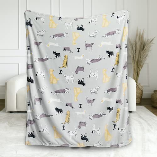  Cozy Bliss Dachshunds Throw Blanket French Bulldog Print Throw Border Collie Dog Print Blanket Ultra Soft Warm Lightweight Plush Blanket For Dog Lovers, Sitting Poodle 50"x60"