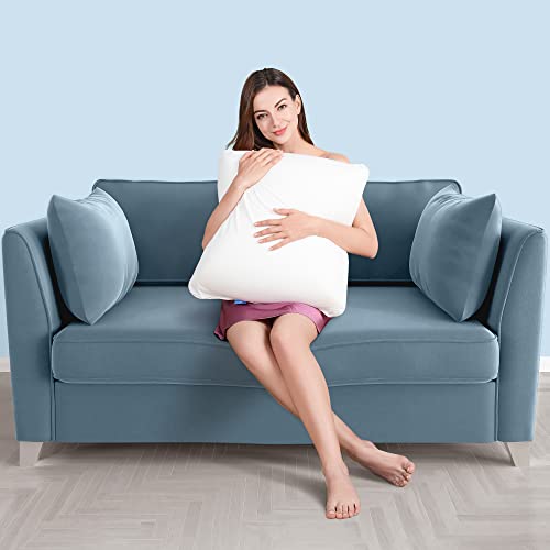  AM AEROMAX 12 ×12 Pillow Insert Memory Foam Throw Pillow Insert Sham Square For Decorative Cushion Bed Couch Sofa Without Deform After Longtime Use