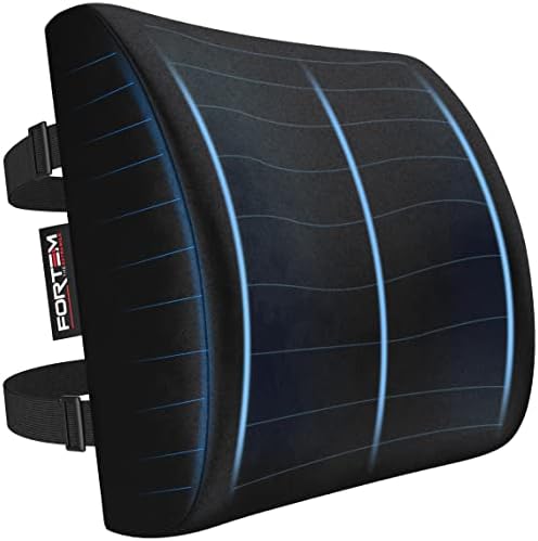  FORTEM Lumbar Support Office Chair, Lumbar Support Pillow For Car, Office Chair Back Support, Lumbar Pillow For Desk Chair, Memory Foam Back Cushion, Washable Cover (Mesh, Black)
