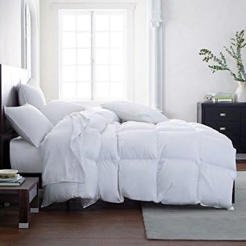  The Ultimate Fluffy Comforter Duvet - Luxury Down Alternative Comforter Queen Fluffy Duvet Insert Thick Comforter Premium All Season Breathable Hotel Collection Puffy Comforter