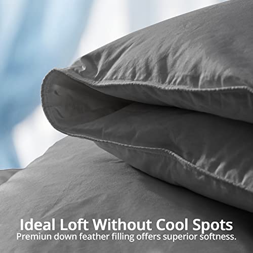  Globon Luxurious Feather Down Comforter King Size,Fluffy Hotel Collection Duvet Insert Heavyweight For Winter, 100% Soft Cotton Shell With Corner Tabs, Dark Grey(106x90inches)…