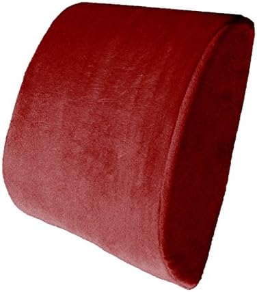  Bookishbunny Premium Memory Foam Lumbar Support Cushion Pillow (Pink)
