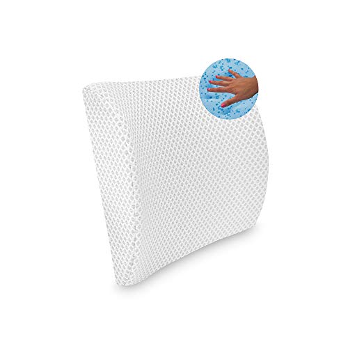  SensorPEDIC Conforming Memory Foam Lumbar Pillow, One Size, White