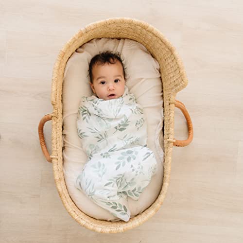  Organic Baby Muslin Swaddle Blankets For Boy Or Girl - Eucalyptus Leaves And Sage Swaddle Blanket 2 Pack - Soft Organic Cotton And Natural Bamboo Muslin, XLarge And Breathable, Boho Baby, 47" X 47"
