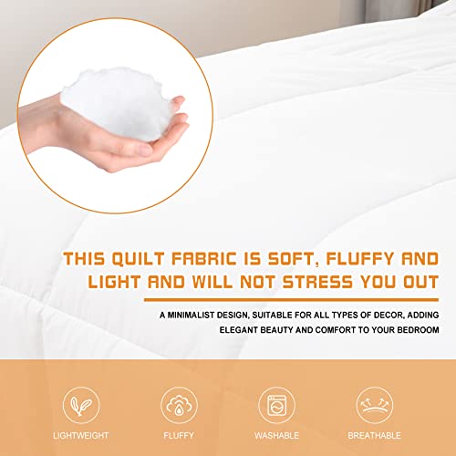  All Season Soft Down Comforter, Alternative Bed Quilt, Reversible Corners, Winter Summer Warm & Fluffy Quilt Full Size (White, Queen)