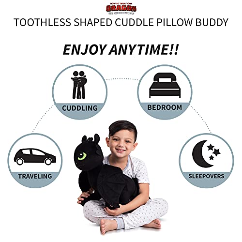  Franco Kids Bedding Super Soft Plush Cuddle Pillow Buddy, One Size, How To Train Your Dragon Toothless,Pink