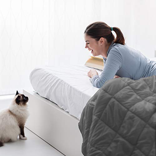  Lux Decor Collection King Comforter - Quilted Duvet Insert With Corner Tabs - Box Stitched Down Alternative Comforter - All Season Duvet Insert (King, Grey)