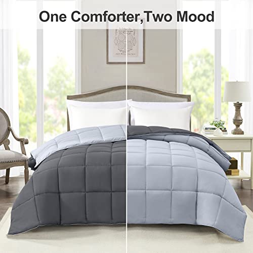  Queen Lightweight Comforter Gray - All Season Down Alternative Bed Comforter Summer Duvet Insert Quilted Reversible Comforters Full/Queen Size Dark Gray/Light Grey