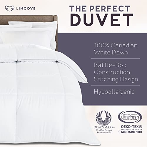  Canadian Down Comforter – All-Season Warmth Duvet Insert – Corner Loops In Each Corner, 600 Thread Count - 100% Cotton Sateen Shell, Queen