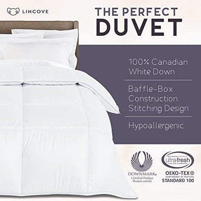  Canadian Down Comforter – All-Season Warmth Duvet Insert – Corner Loops In Each Corner, 600 Thread Count - 100% Cotton Sateen Shell, Queen