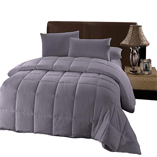  Plush Down Alternative Comforter Twin - Gray Duvet Insert With Corner Tabs - All-Season Hypoallergenic Comforter Reversible - 100% Plush Down Alternative Fill - Twin XL, Gray