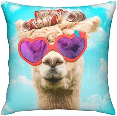  FLYSWALLOW Funny Mordern Throw Pillow Case, Accept Square Pillow Cover, 18"X18",Throw Cushion Covers For Couch Chair Bedroom Farmhouse Sofa(Donkey)