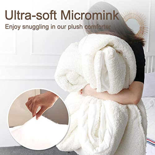 ARIGHTEX Ultra-Soft Micromink Sherpa Comforter Bed Set - 3D Lightweight, Fuzzy Duvet Blankets - Colorful, Polyester Filler Bedspreads With 2 Pillow Shams (Nautical Octopus, Queen)