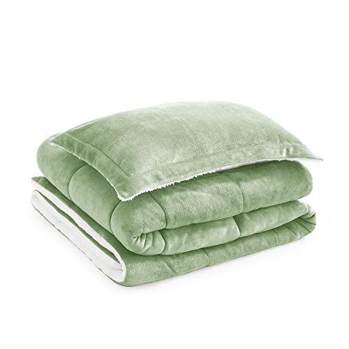  ART DEMO Home Sherpa Fleece All Season Ultra Soft Hypoallergenic Comforter Bed Set With Pillow Shams For Dorm, 2 Piece, Twin Size, Sage Green (SHPA-TWN-SG)