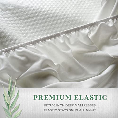  TYLINEN Queen Tencel Eucalyptus Mattress Protector - Waterproof Breathable Cooling Cover Protects Against Moisture, Spills, Stains - Noiseless, Machine Washable, Fits 16 Inch Bed (Queen)
