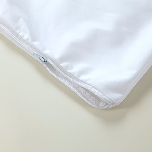  Pillow Protector 2 Pack - Extra Soft Knit - Waterproof Zippered Case (King 2 Pack)