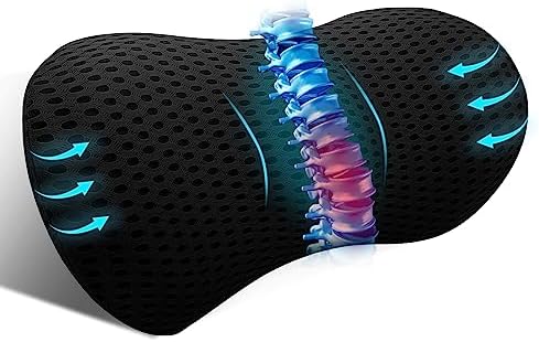  Kasney Lumbar Support Pillow Ergonomic Memory Foam Lumbar Pillow, Relieve Back Pain, CMFY Breathable & Detachable & Washable, Perfect Back Pillow For Office Chairs, Car Seats, Beds (Blue)
