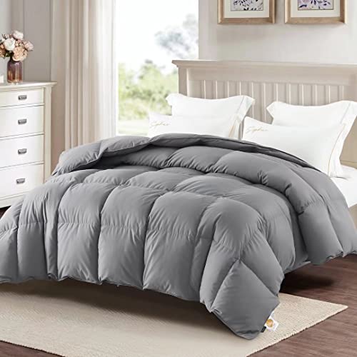  Goose Down Comforter Queen Size,Medium Weight Duvet Insert For All Season,38OZ,650 Fill Power,100% Cotton With Corner Tabs,Grey…