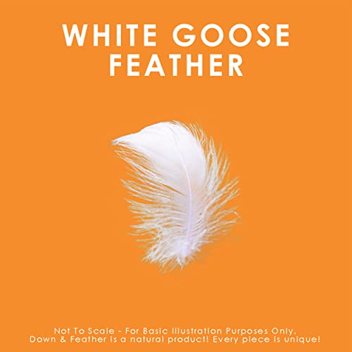  . - All Season White Goose Feather Duvet Comforter Twin Size - 233 TC Shell 100% Cotton - Oeko TEX Certified