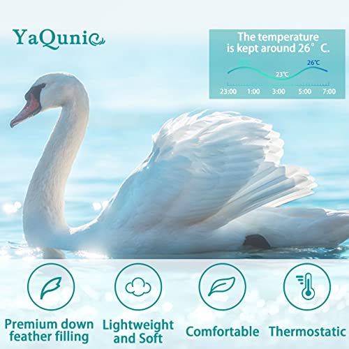  YaQunie Goose Down Comforter Queen Size All Season Down Duvet Insert Cotton Shell Soft Aqua Bed Comforter With 8 Coner Tabs 90x90Inches