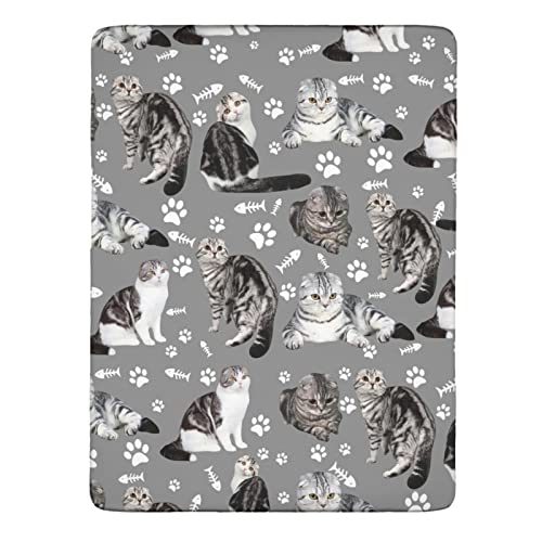  Thicken Four Piece Bed Set Scottish Fold Cat Microfiber Thicken Bed Sheet Set Four Piece Flat Sheet Wrinkle 4 Piece Bed Linens Soft Including 1 Bed Sheet 1 Duvet Cover And 2 Multicolor King